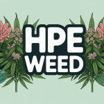 illustration hpe weed variété cannabis légal