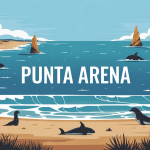 Illustration Punta Arena Patagonie plages falaises animaux
